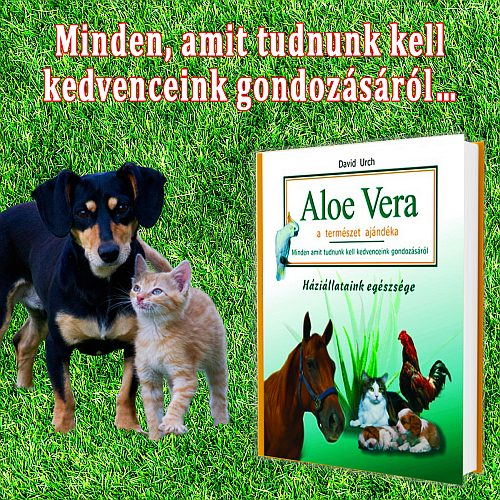 Október 4-én ünnepeljük az Állatok Világnapját!